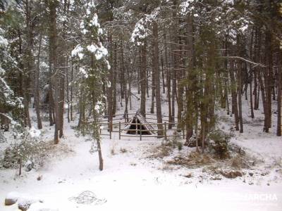 Senderismo Cañón del Río Lobos; Atención exclusiva al senderista; Gratis, free